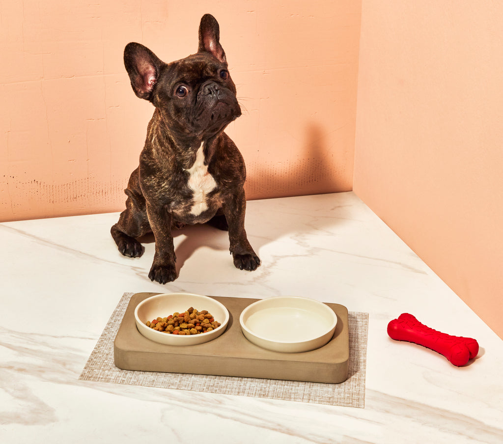 Large Pet Bowl in Confetti – Felt+Fat